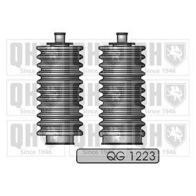 Comprar Fuelle dirección de QUINTON HAZELL QG1223 a bajo precio de 15,14 €
