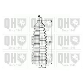 Comprar Fuelle dirección de QUINTON HAZELL QG1508 a bajo precio de 18,53 €