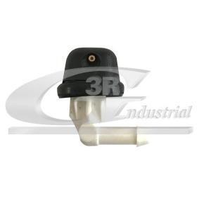 Waschwasserdüse, Scheibenreinigung für CITROËN von 3RG