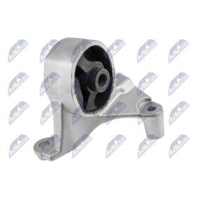 Motorlager ZPS-HD-066 von NTY günstig für 49,82 € online kaufen