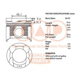 Kolben 100-13102 von IAP QUALITY PARTS günstig für 596,01 € online kaufen