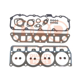 Dichtungssatz, Zylinderkopf 116-10030 von IAP QUALITY PARTS günstig für 130,26 € online kaufen