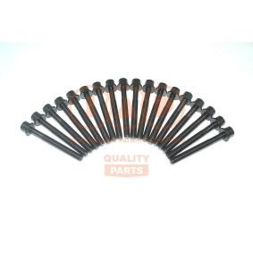 Zylinderkopfschraubensatz 119-13148 von IAP QUALITY PARTS günstig für 113,51 € online kaufen
