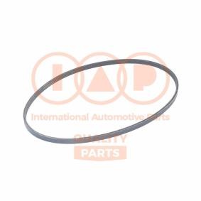 Keilrippenriemen 140-17002 von IAP QUALITY PARTS günstig für 52,23 € online kaufen