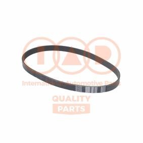 Keilrippenriemen 140-17100 von IAP QUALITY PARTS günstig für 57,59 € online kaufen