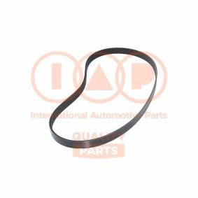 Keilrippenriemen 140-17195 von IAP QUALITY PARTS günstig für 73,71 € online kaufen