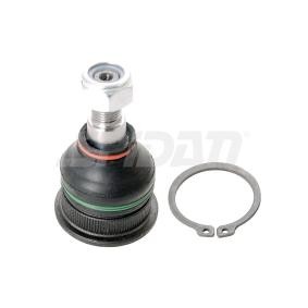 Traggelenk 57316 von SPIDAN CHASSIS PARTS günstig für 21,34 € online kaufen