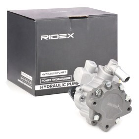 Achetez des Pompe de direction assistée RIDEX 12H0188 à prix pour 98,99 €