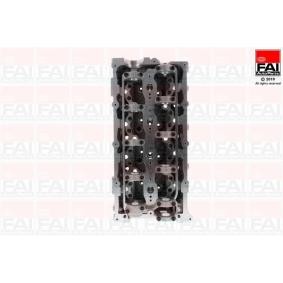 Osta Sylinterikansi FAI AutoParts:llä BCH072 edullisesti hintaan 775,48 €