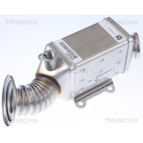 Acquista Radiatore EGR da TRISCAN 8813 10115 a buon mercato per soli 331,55 €