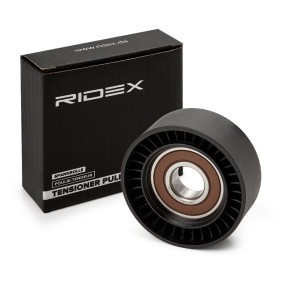 Compre Polia de desvio / de guia, correia trapezoidal estriada da RIDEX 312D0100 a um preço baixo por 9,66 €