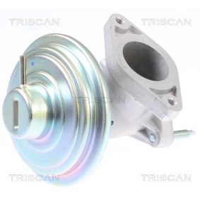 AGR-Ventil für FORD von TRISCAN