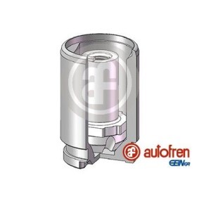 Acquista Pistoncino pinza freno da AUTOFREN SEINSA D025620K a buon mercato per soli 30,30 €