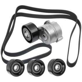 Comprar Juego de correas trapeciales poli V de RIDEX 542R0447 a bajo precio de 126,98 €