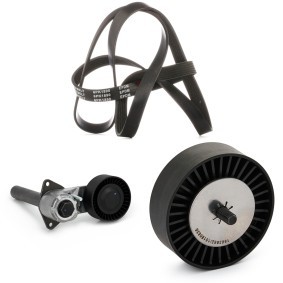 Acquista Kit Cinghie Poly-V da RIDEX 542R0487 a buon mercato per soli 91,25 €