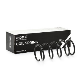 Compre Molas de RIDEX online para Panda Hatchback (141_) a preços moderados