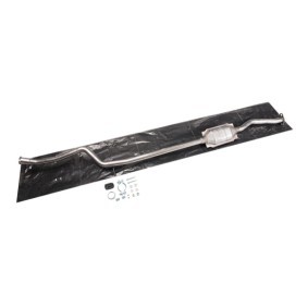 Katalysator 429C0227 von RIDEX günstig für 167,42 € online kaufen