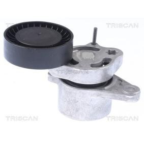 Riemenspanner, Keilrippenriemen 8641 233030 von TRISCAN günstig für 101,59 € online kaufen