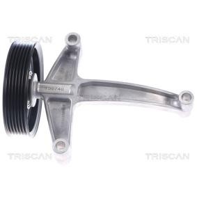 Umlenk- / Führungsrolle, Keilrippenriemen 8641 291013 von TRISCAN günstig für 44,44 € online kaufen