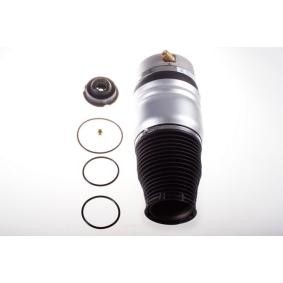 Compre Mola pneumática da DENCKERMANN DSA113G a um preço baixo por 404,72 €