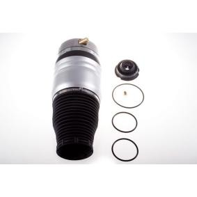 Compre Mola pneumática da DENCKERMANN DSA114G a um preço baixo por 404,72 €