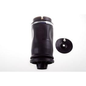 Compre Fole, suspensão pneumática de DENCKERMANN online para Classe M (W164) a preços moderados