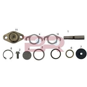 Acquista Kit riparazione, Perno fuso a snodo da BOTTO RICAMBI KITIV026 a buon mercato per soli 169,01 €