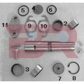 Acquista Kit riparazione, Perno fuso a snodo da BOTTO RICAMBI KITIV026OR a buon mercato per soli 220,60 €