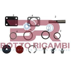 Acquista Kit riparazione, Perno fuso a snodo da BOTTO RICAMBI KITIV027 a buon mercato per soli 123,69 €