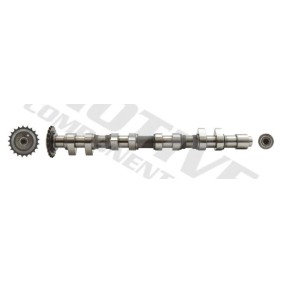 Nockenwelle T2173 von motive günstig für 157,67 € online kaufen