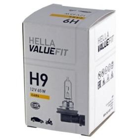 Achetez des Ampoule, projecteur de travail HELLA 8GH 242 632-161 à prix pour 20,24 €