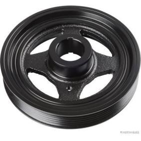 Acquista Puleggia cinghia albero a gomiti da HERTH+BUSS JAKOPARTS J1091025 a buon mercato per soli 69,63 €