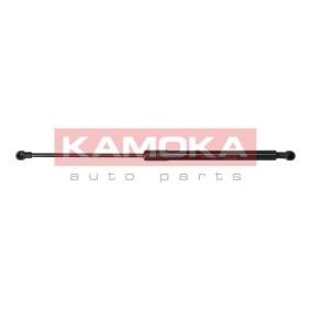 Heckklappendämpfer für CITROËN von KAMOKA