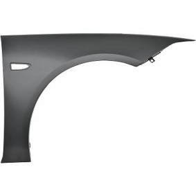 Acquista Parafango da DIEDERICHS online per INSIGNIA Sports Tourer a prezzi moderati