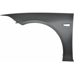 Acquista Parafango da DIEDERICHS online per INSIGNIA Sports Tourer a prezzi moderati