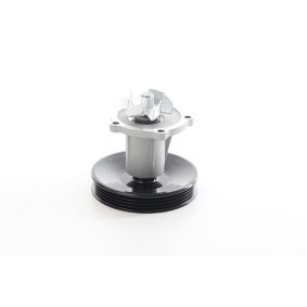 Compre Bomba de água da BSG BSG 16-500-005 a um preço baixo por 68,84 €