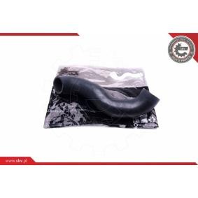 Compre Tubo flexível do ar de sobrealimentação da ESEN SKV 43SKV199 a um preço baixo por 107,88 €