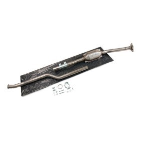 Katalysator 429C0534 von RIDEX günstig für 240,14 € online kaufen