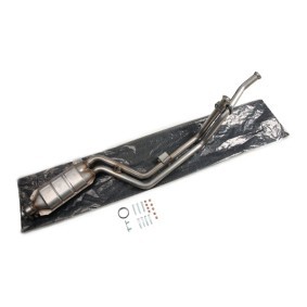 Katalysator 429C0601 von RIDEX günstig für 555,18 € online kaufen