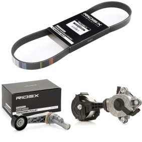 Köp Drivremssats av RIDEX 542R0540 till det låga priset 2371,86 kr