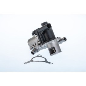 AGR-Ventil 710965R von WAHLER günstig für 177,41 € online kaufen