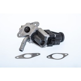 AGR-Ventil 710979R von WAHLER günstig für 116,58 € online kaufen