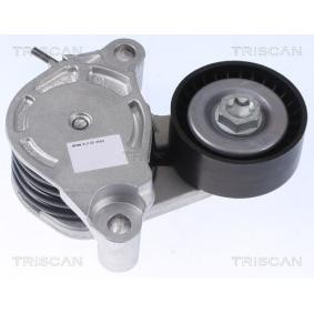 Spannarm, Keilrippenriemen für MINI von TRISCAN
