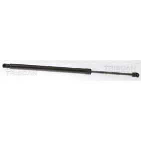Heckklappendämpfer 8710 18245 von TRISCAN günstig für 30,02 € online kaufen
