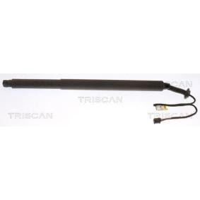 Heckklappendämpfer 8710 27303 von TRISCAN günstig für 347,59 € online kaufen
