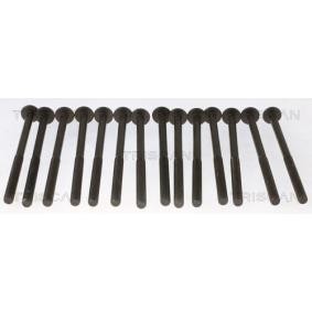 Compre Parafuso de cabeçote de TRISCAN online para 5 Touring (G61) a preços moderados