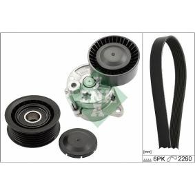 Keilrippenriemensatz 529 0450 10 von INA günstig für 88,19 € online kaufen