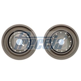 Riemenscheibe, Kurbelwelle PUL11-107 von FRECCIA günstig für 61,49 € online kaufen