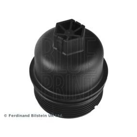Achetez des Support de filtre à huile de chez BLUE PRINT en ligne pour Laguna III Coupé (DT, DT0/1) à prix modérés