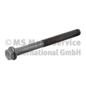 Comprar Tornillo de culata de BF 20080910509 a bajo precio de 16,34 €